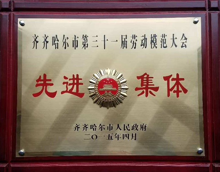 2015年齊齊哈爾市勞模大會(huì)先進(jìn)集體
